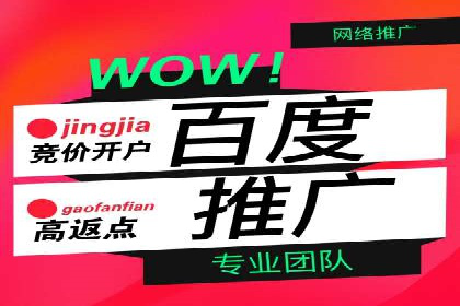 成功案例：SEM托管代运营助力业务增长